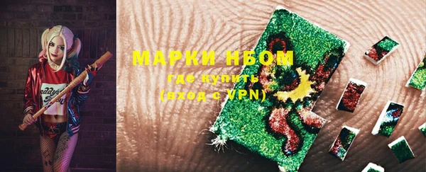 СК Алексин
