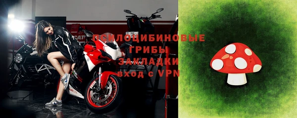 хмурый Алексеевка
