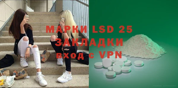 прущие грибы Абинск