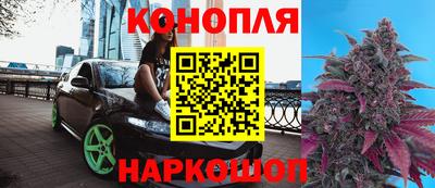 крисы Свободный