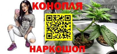 крисы Свободный