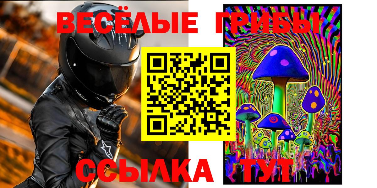 Псилоцибиновые грибы GOLDEN TEACHER  Псилоцибиновые грибы GOLDEN TEACHER  Новокубанск  Вход с VPN 