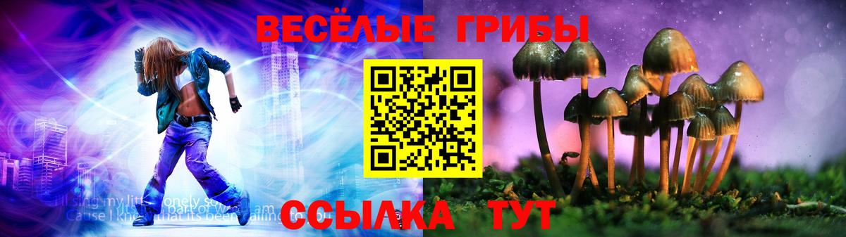 Псилоцибиновые грибы мицелий Новокубанск